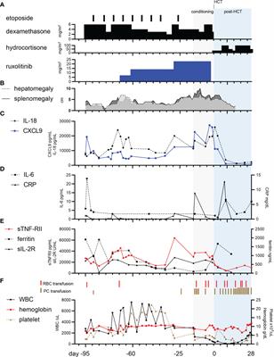 Case report: Optimized ruxolitinib-based therapy in an infant with familial hemophagocytic lymphohistiocytosis type 3